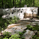 Illustration for article titled Visit a crashed military jet in the woods of New Jersey